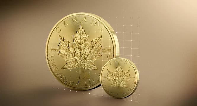 Pourquoi acheter des petites pièces d’or ? Pourquoi acheter des petites pièces d’or ?