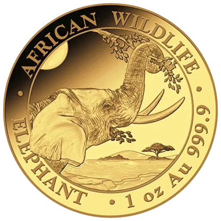 1 oncia Moneta d’Oro - Somalia Elephant 2023