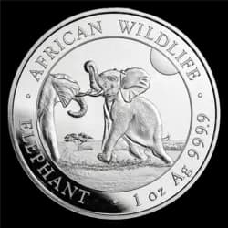 1 once Pièce d'Argent - Somalia Elephant 2024  1 once Pièce d'Argent - Somalia Elephant 2024