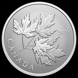 1/2 onza Moneda de Plata - Hojas de Arce Relucientes 1/2 onza Moneda de Plata - Hojas de Arce Relucientes - 1