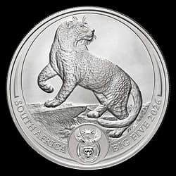 1 once Pièce d’Argent - Afrique du Sud Big Five Léopard 2026 1 once Pièce d’Argent - Afrique du Sud Big Five Léopard 2026 - 1