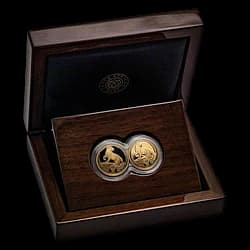 Set aus 2 Goldmünzen - Big Five Leopard Proof 2026 Set aus 2 Goldmünzen - Big Five Leopard Proof 2026 - 1
