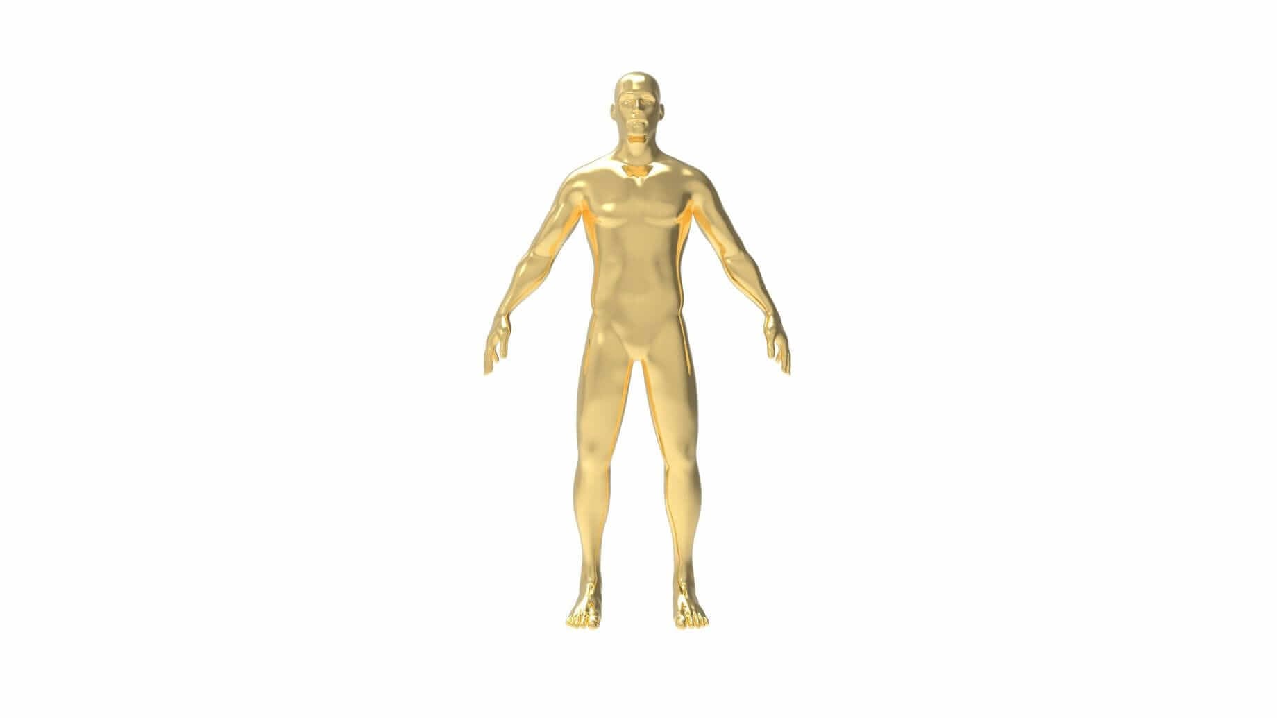 gold can be found in human body including hair, blood and brain as shown by the picture of a golden man gold can be found in human body including hair, blood and brain as shown by the picture of a golden man