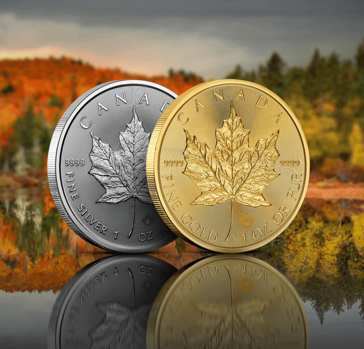 Maple Leaf