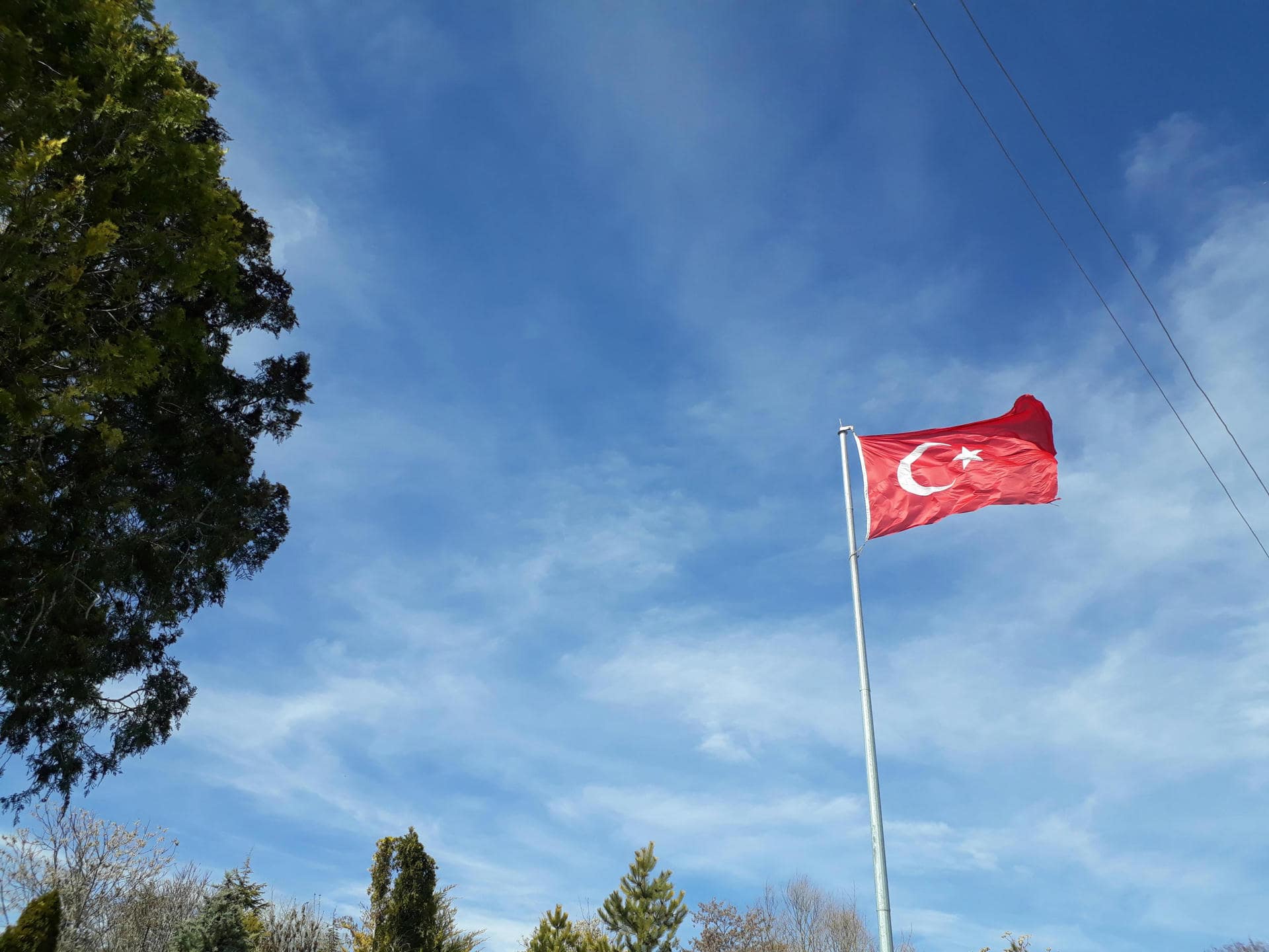 Turkish flag Turkish flag