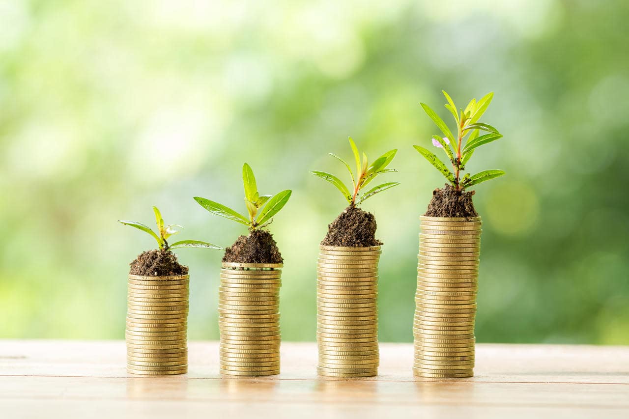 Des piles de pièves avec des plantes dessus Des piles de pièves avec des plantes dessus