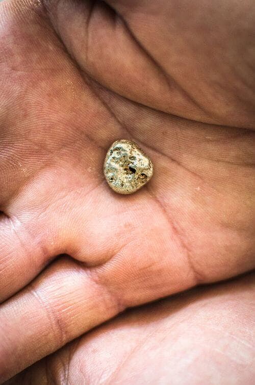 pepita d'oro pepita d'oro