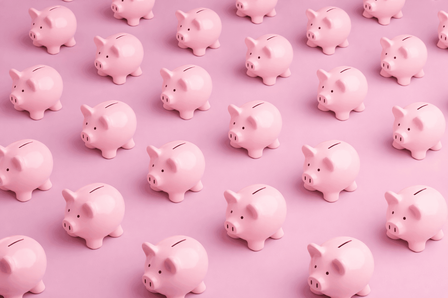 Pink piggy banks Pink piggy banks