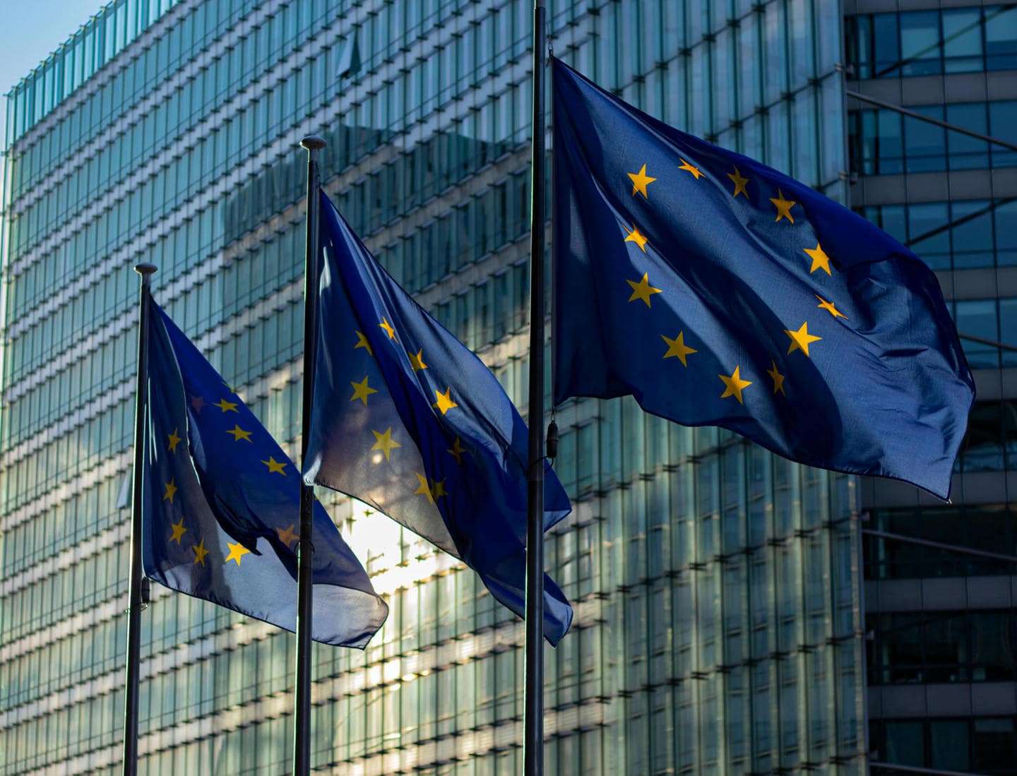 bandiera europea. bandiera europea.